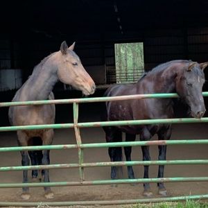 Meet your Posher, Vonnie